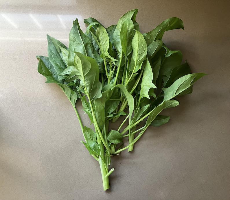 image from Spinach