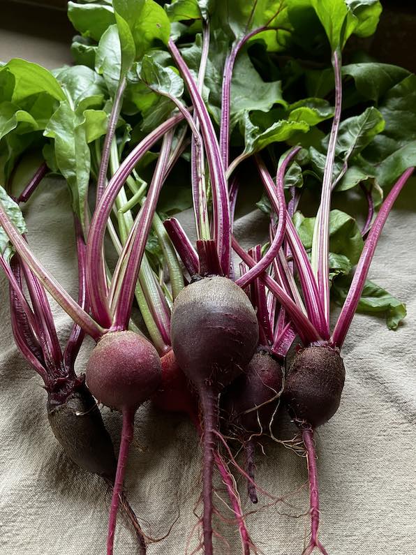 image from Beets